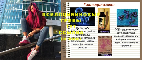 эйфоретик Аркадак