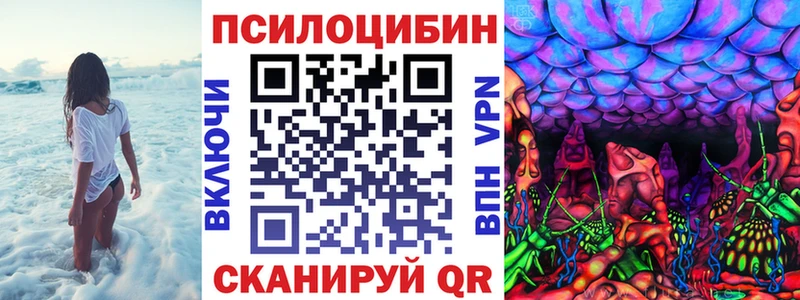 Купить  Урюпинск  Псилоцибиновые грибы Psilocybine cubensis 