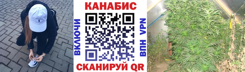 Купить где  Урюпинск  Бошки марихуана гибрид 